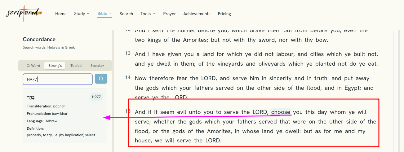 Joshua 24:15